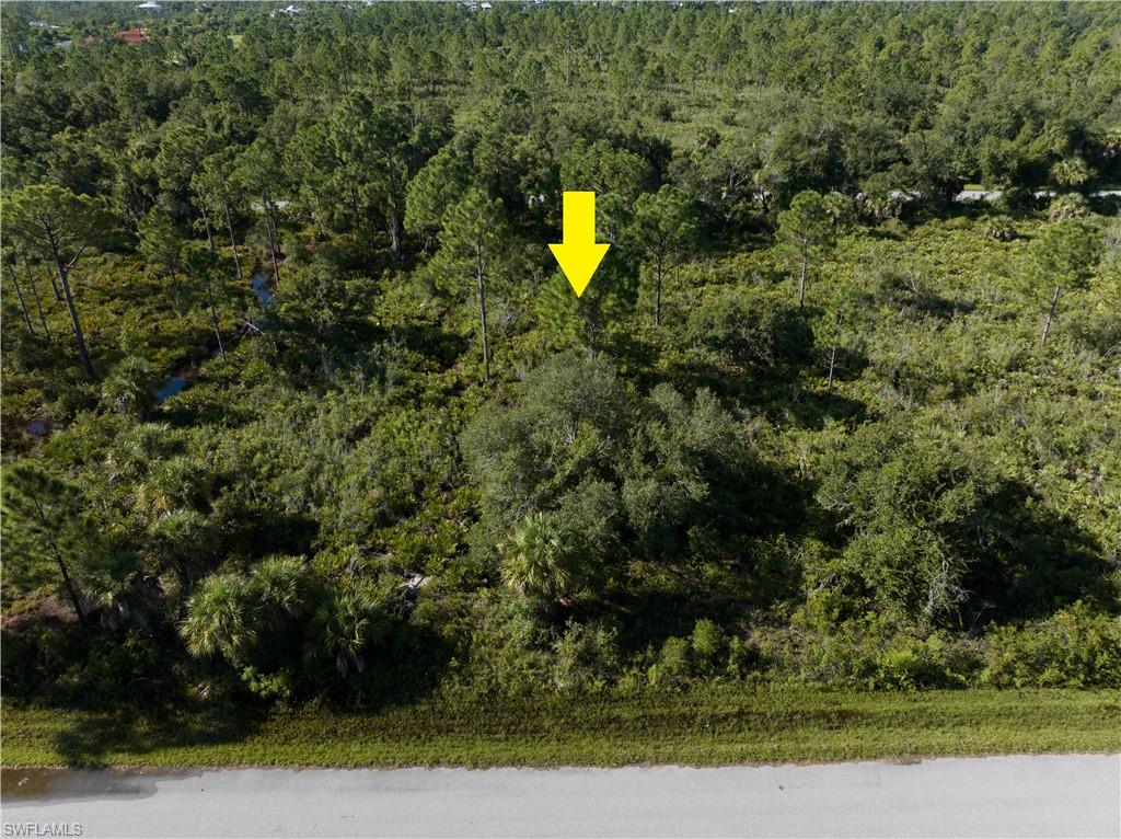 0.229-acre lot (approximately 10,000 sq ft) features a rectangular shape well-suited for a single-family home.