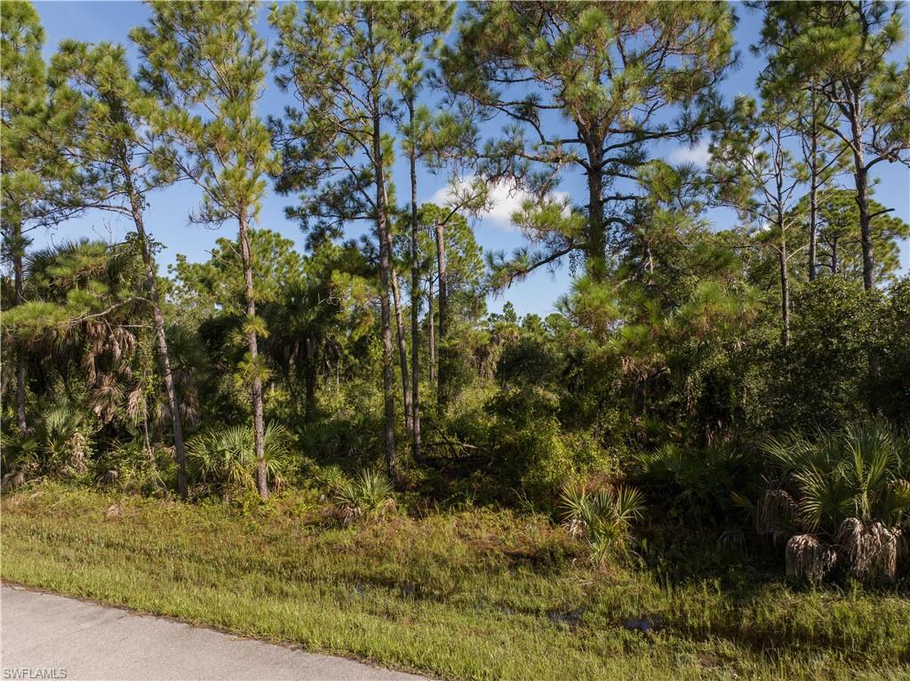 Even better, seller pays title and provides title insurance, helping reduce closing costs and making ownership even more accessible. The property is located in a NO FLOOD ZONE! Whether you’re planning to build a custom home or secure a smart Florida land investment, this property offers exceptional value.