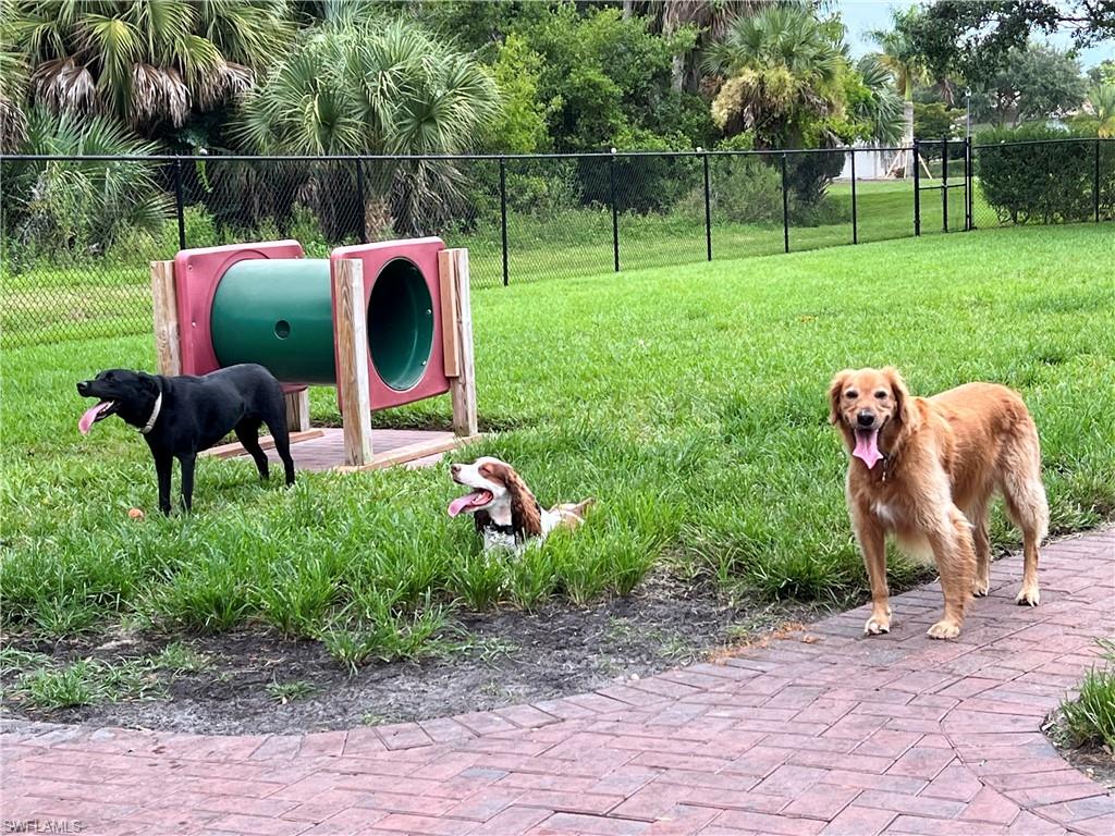Dog park walking distance from home.