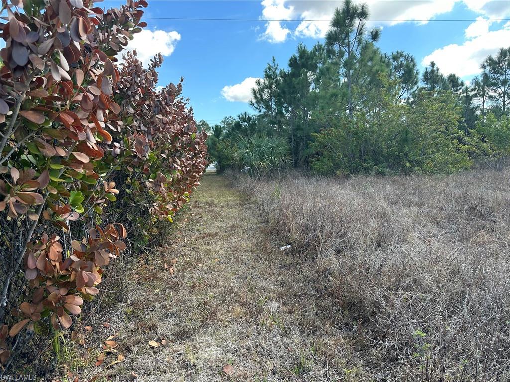 Path to front of lot/Everglades Blvd.