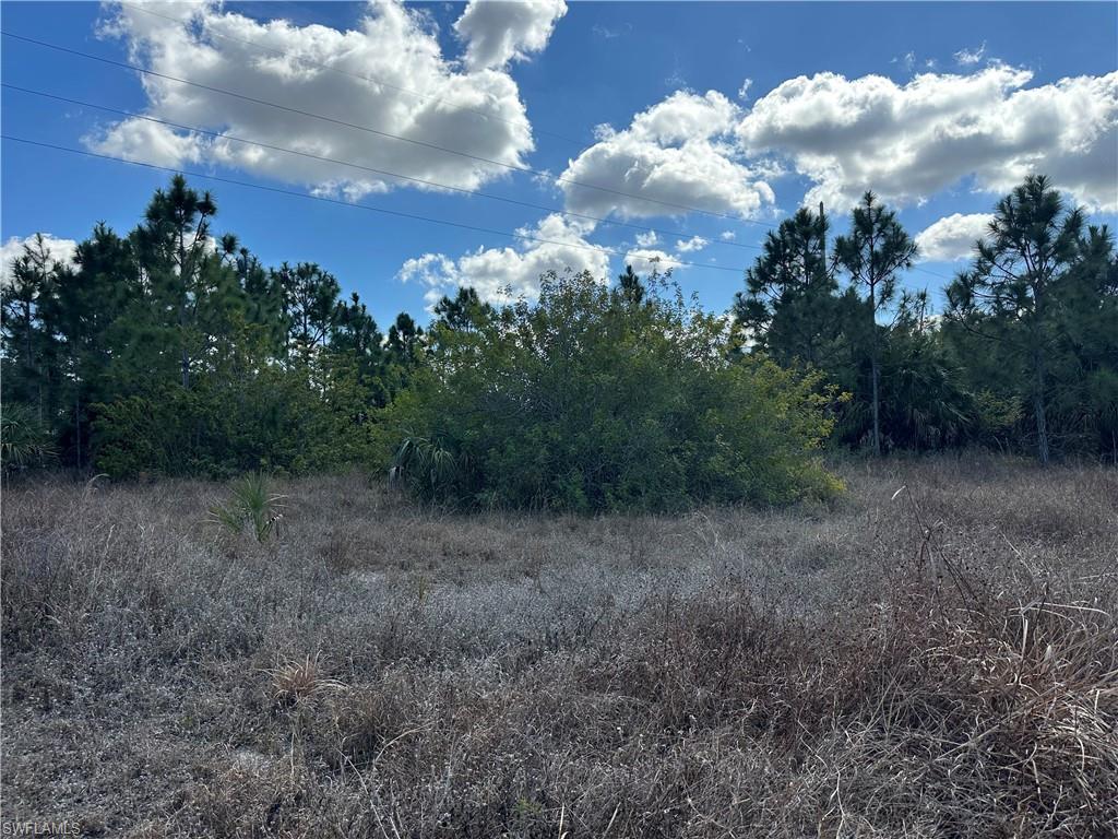 Proposed home site.
