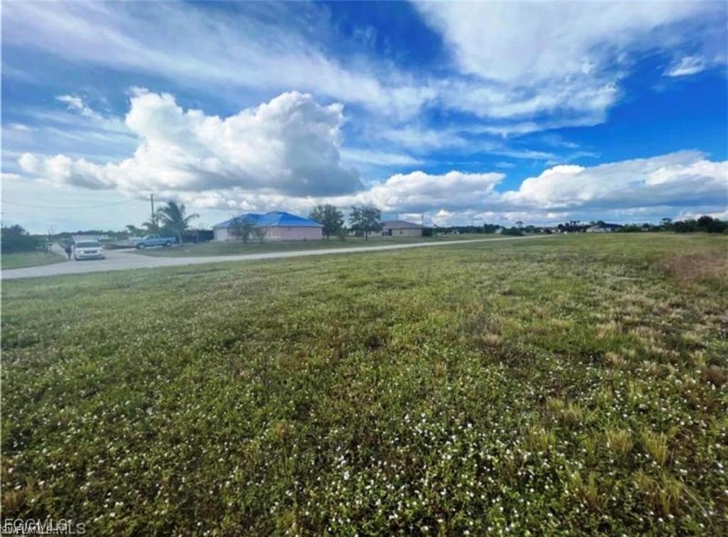 View of grassy yard