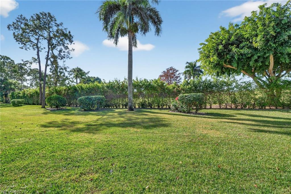 View of grassy yard