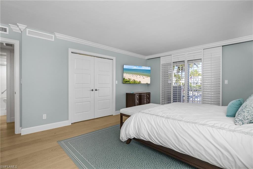 Main Bedroom featuring light wood flooring, a  large walk in closet, and ornamental molding