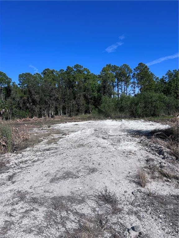 View of local wilderness