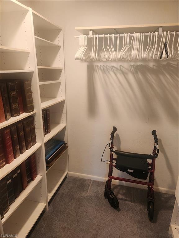 Walk in closet with dark colored carpet