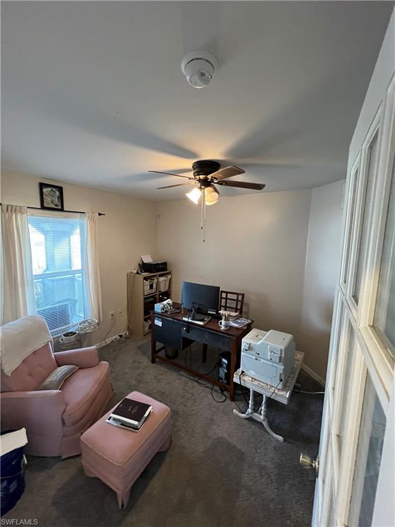 Office space featuring carpet and ceiling fan