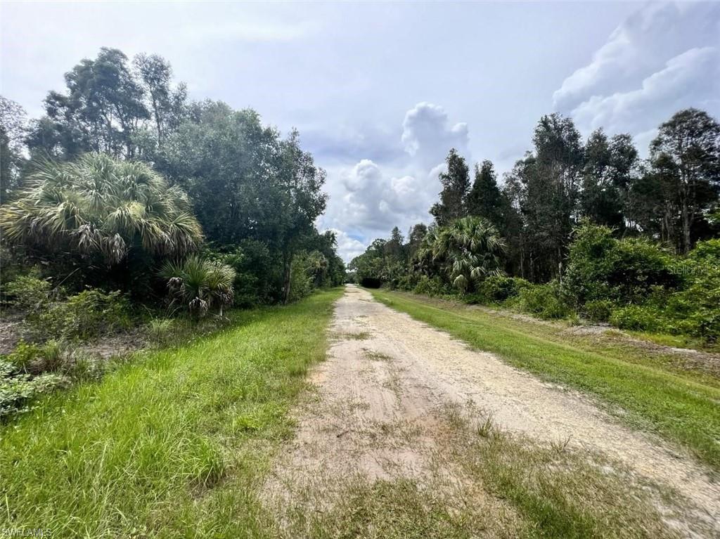 View of road