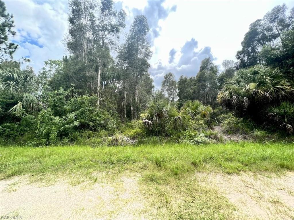 View of local wilderness