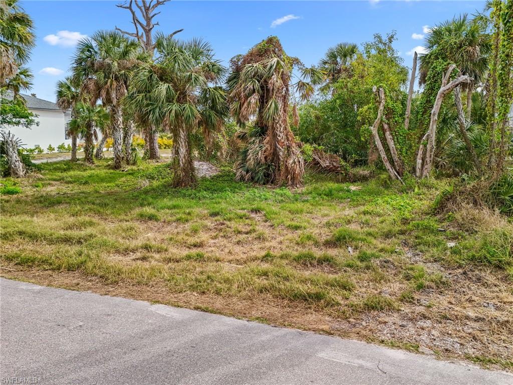 13407 Electron DR photo 9