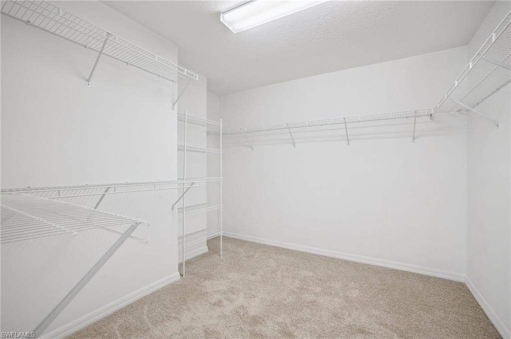 Walk-in closet with light colored carpet