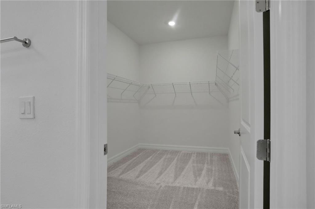 Walk in closet with light colored carpet