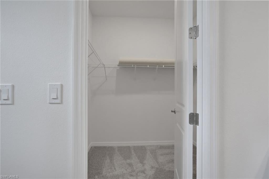 Walk in closet featuring light colored carpet
