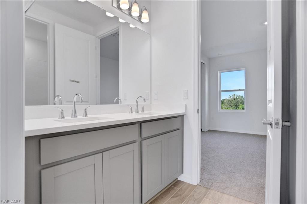 Full bath with double vanity, wood finish floors, and light colored carpet
