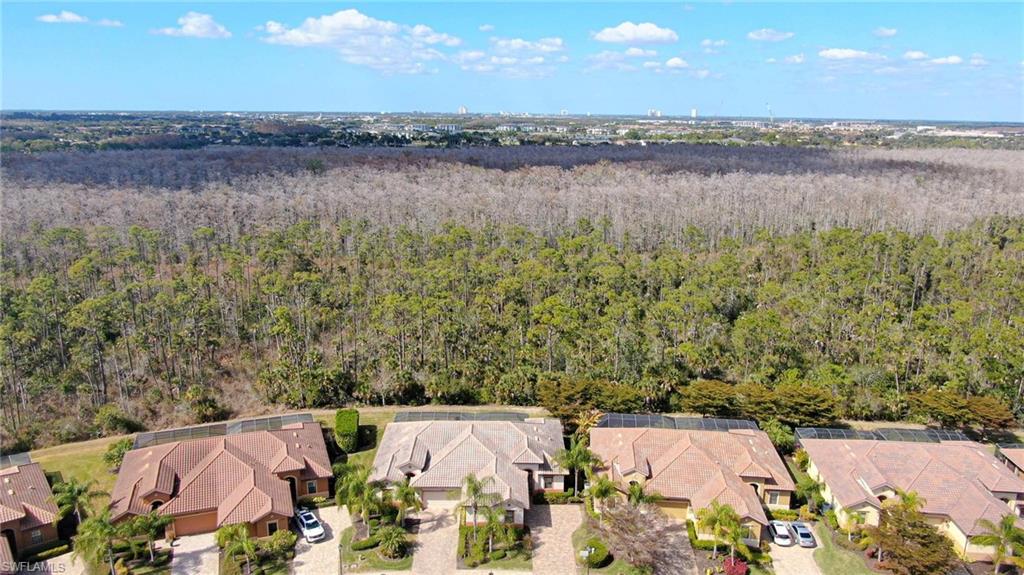 Aerial view of residential area with a forest