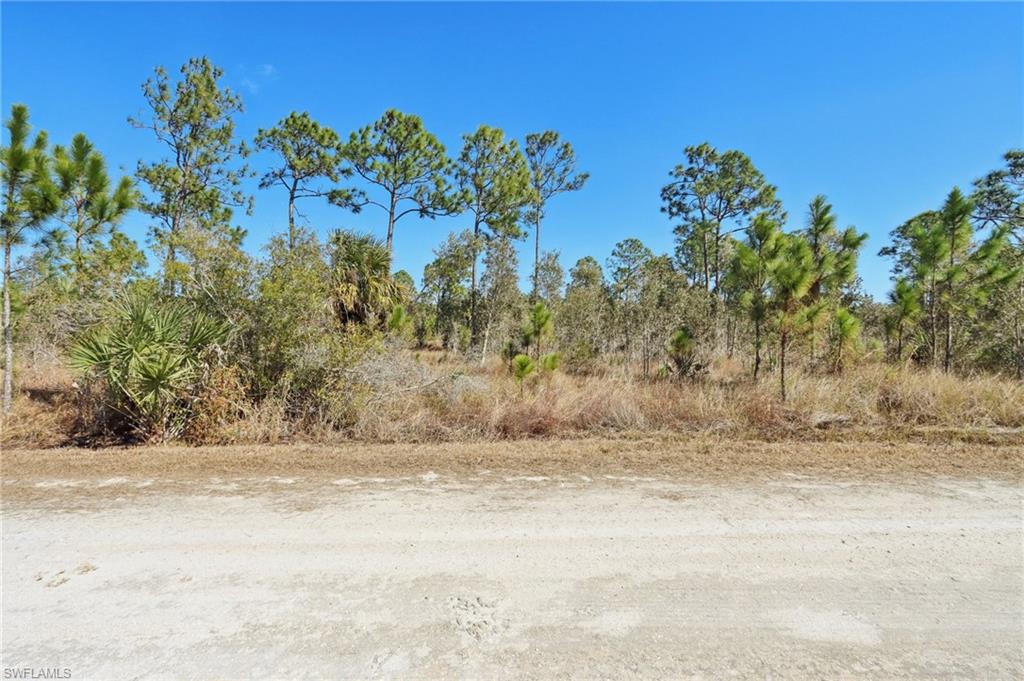 View of undeveloped land