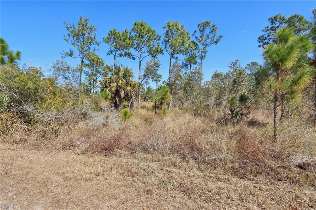 View of undeveloped land