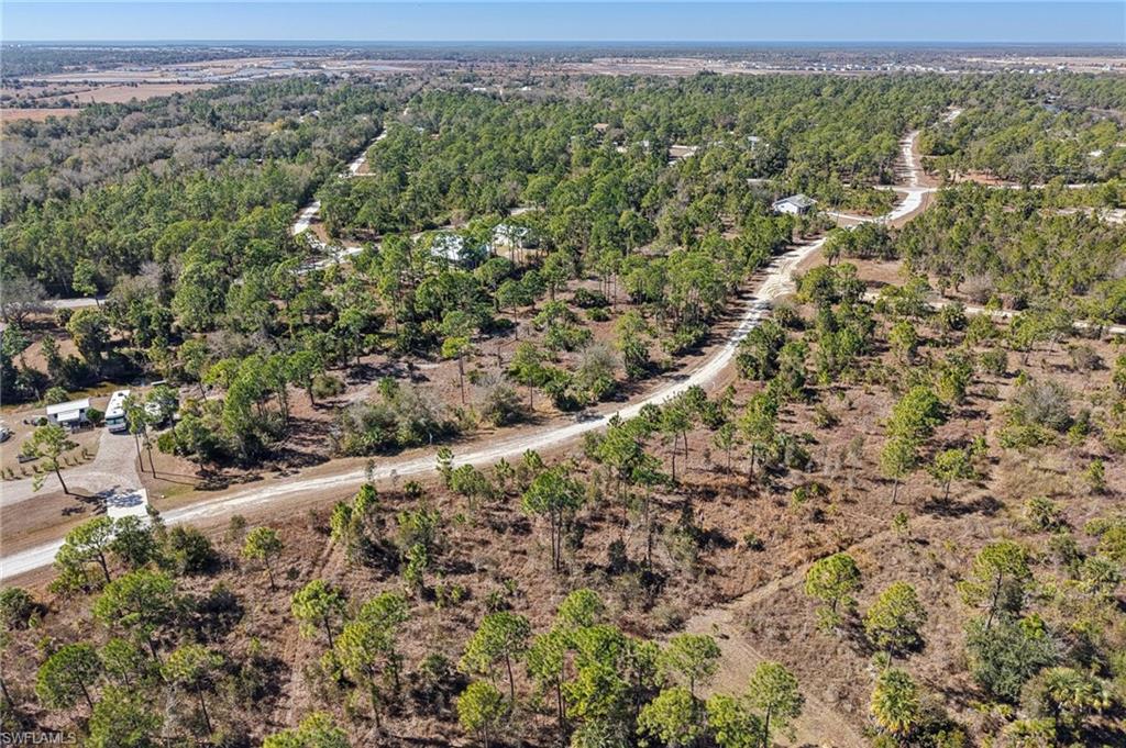 Drone / aerial view of a heavily wooded area