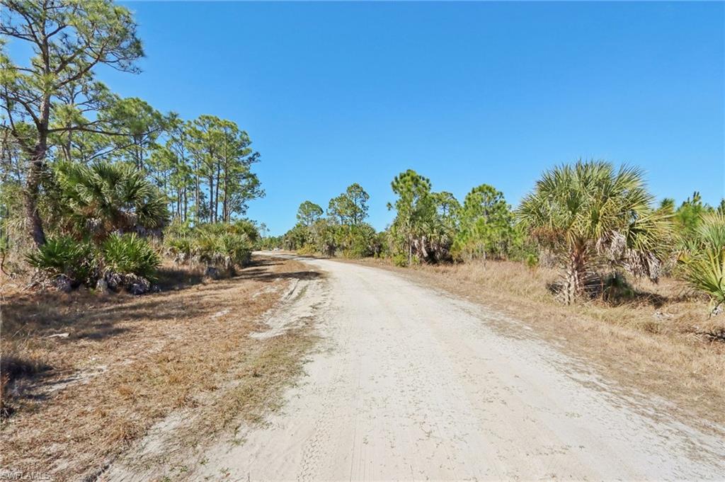 View of dirt / gravel road featuring a rural view