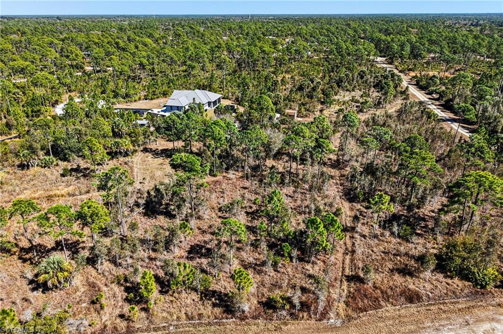 Drone / aerial view of a heavily wooded area