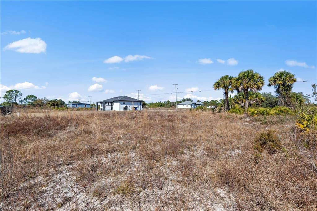 View of undeveloped land