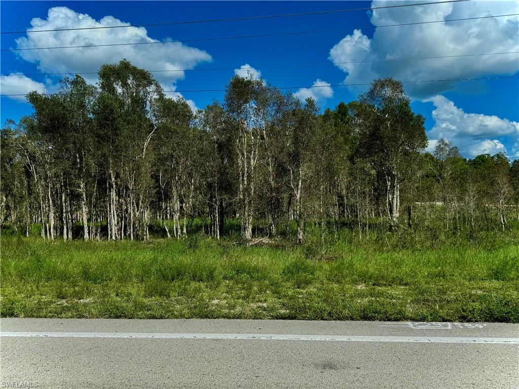 1005/1007 Homestead RD S