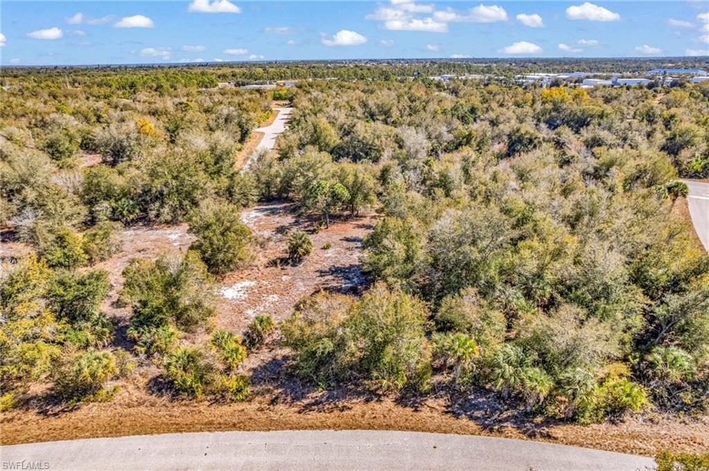 Aerial view of property's location with a forest