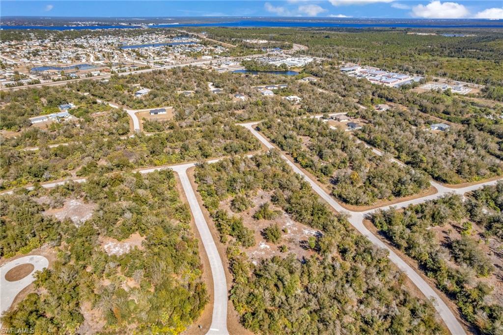 Bird's eye view of a forest