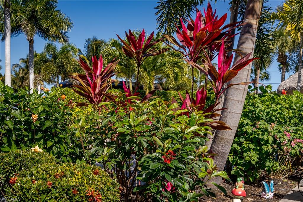 13583 Snook CIR photo 18