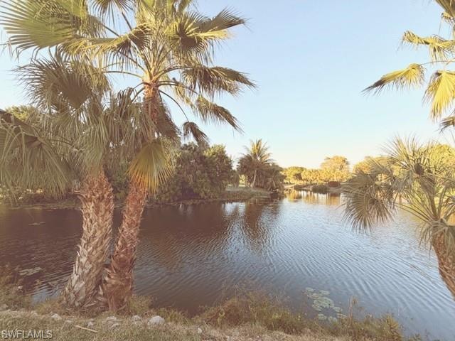 Water view