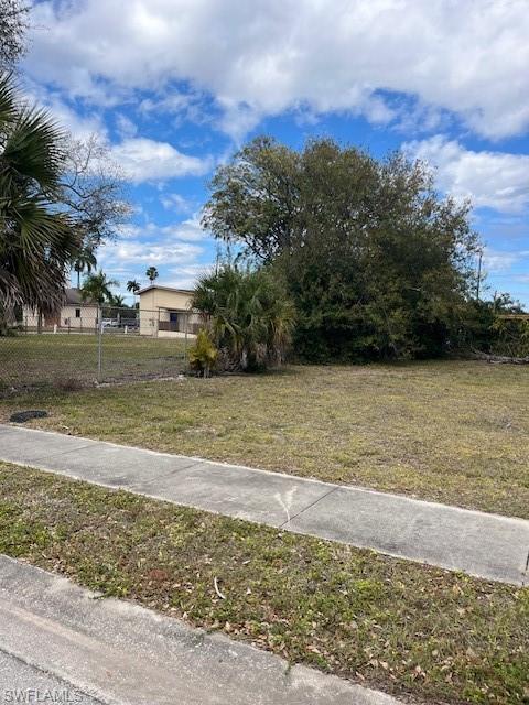 View of yard