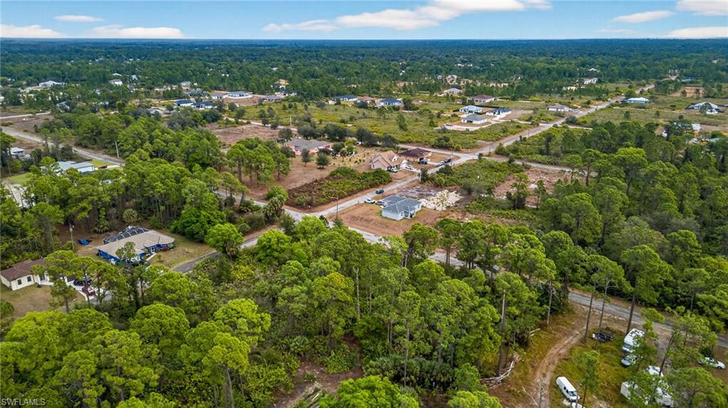 Drone / aerial view of a forest