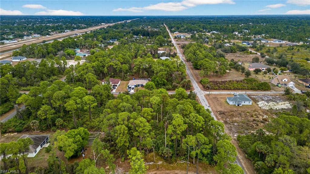 Drone / aerial view of a forest