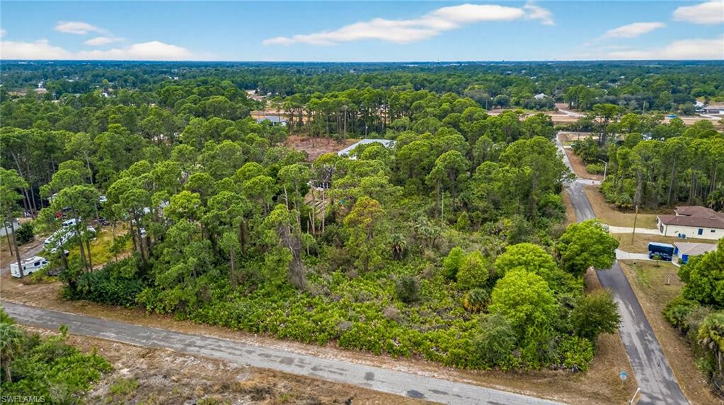Bird's eye view of a heavily wooded area