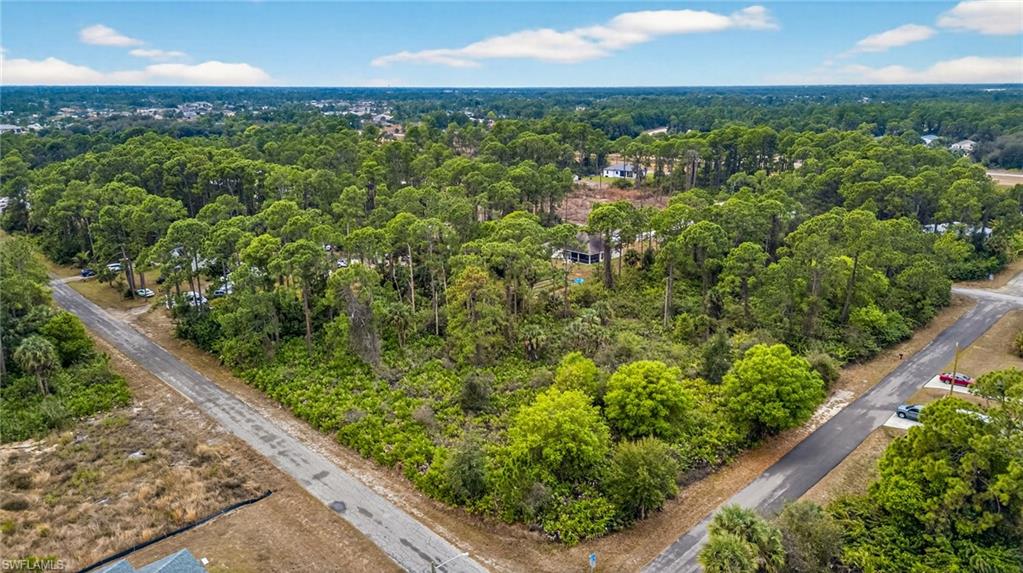 Bird's eye view of a heavily wooded area