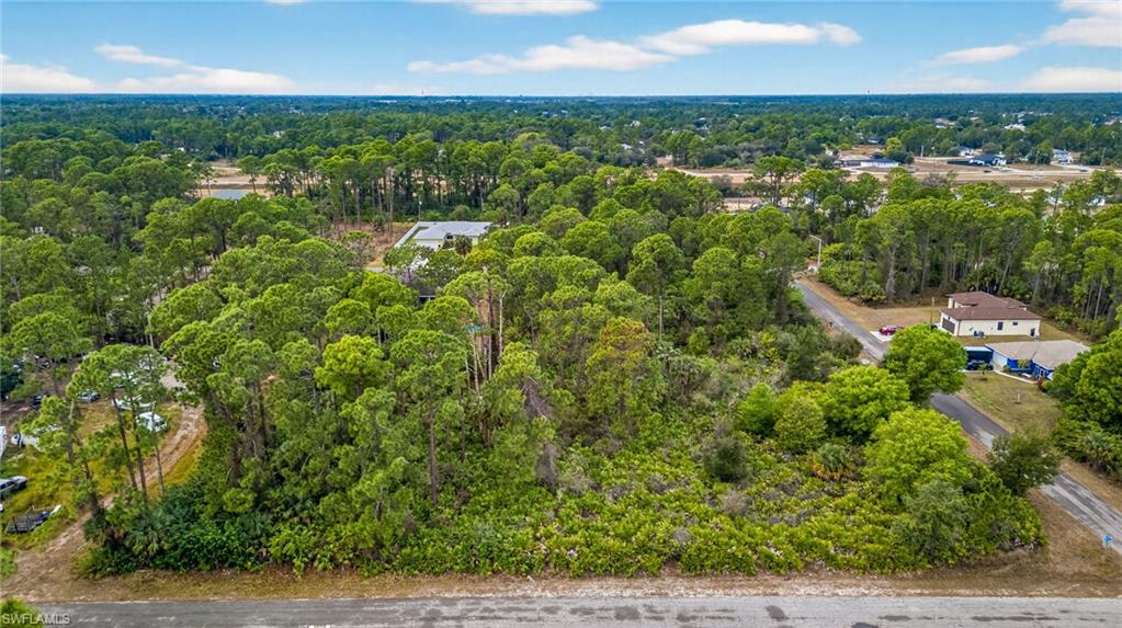 Drone / aerial view of a heavily wooded area