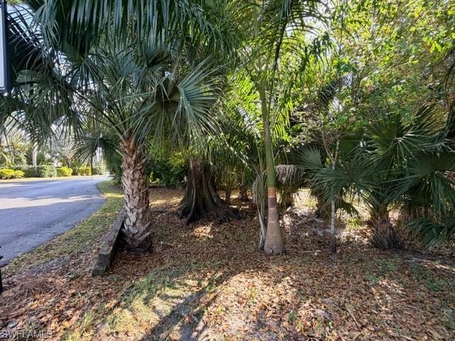 5100 Cypress Trail Resort CIR photo 18