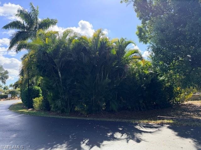5100 Cypress Trail Resort CIR photo 19