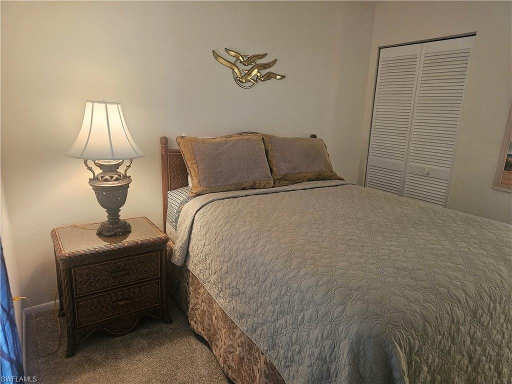 Bedroom with a closet and carpet flooring