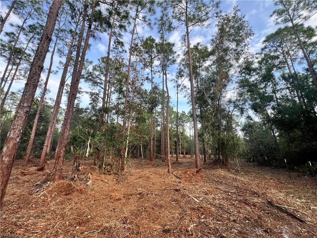 Property photo 46