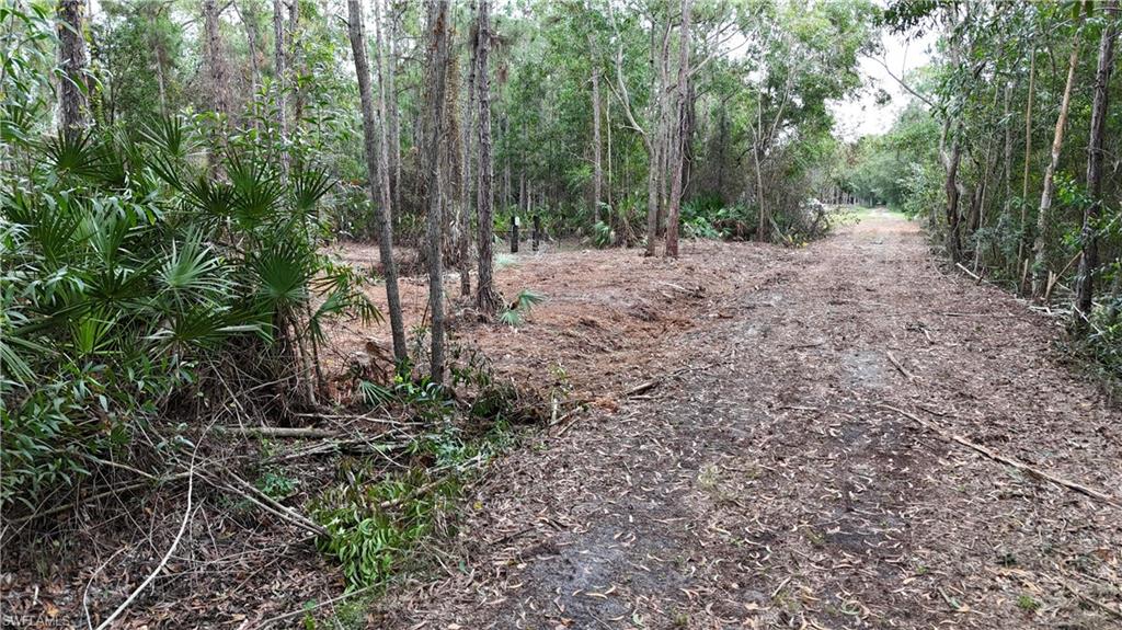 Property photo 13