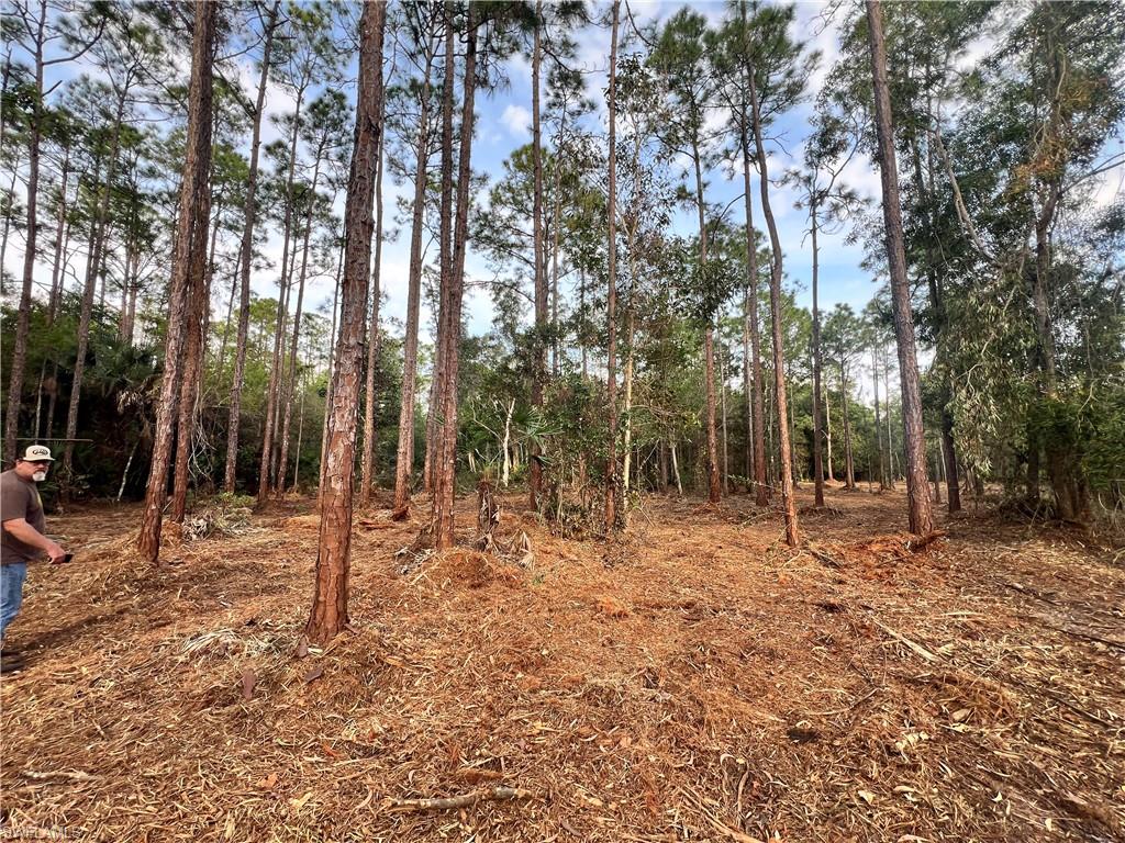 Property photo 47