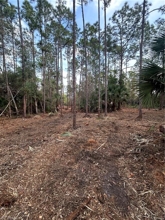 Property photo 19