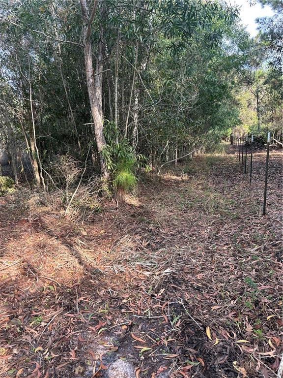 Property photo 35
