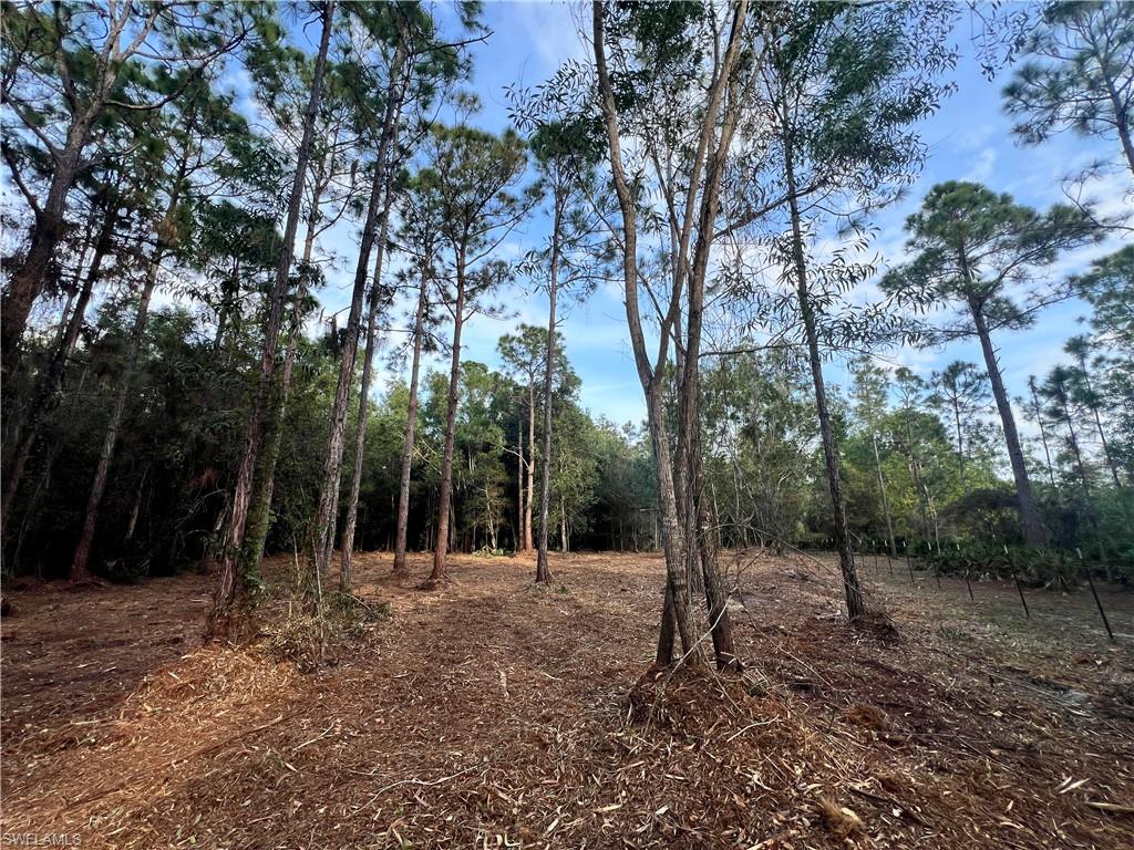 Property photo 31