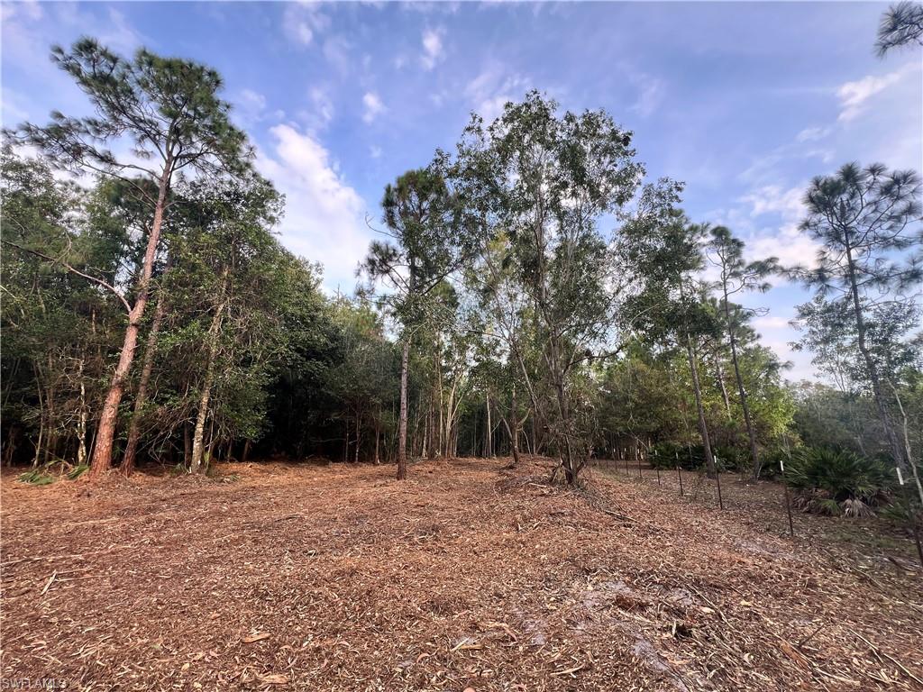 Property photo 29