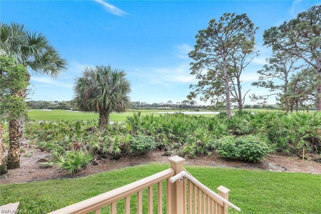 View of grassy yard