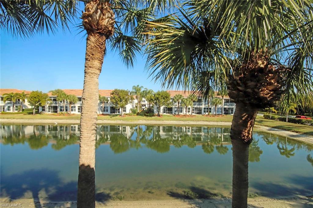 Lake view