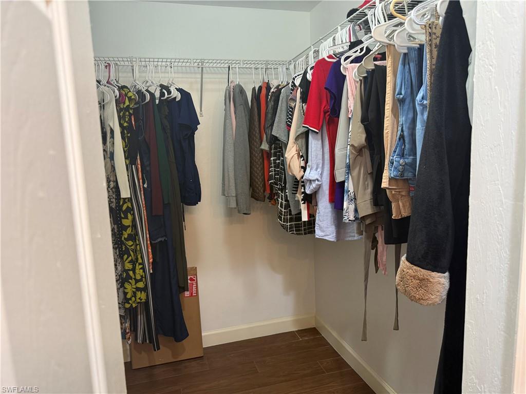 Walk in closet with dark wood finished floors