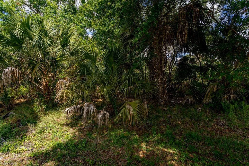 1076 Diamond Lake CIR photo 7